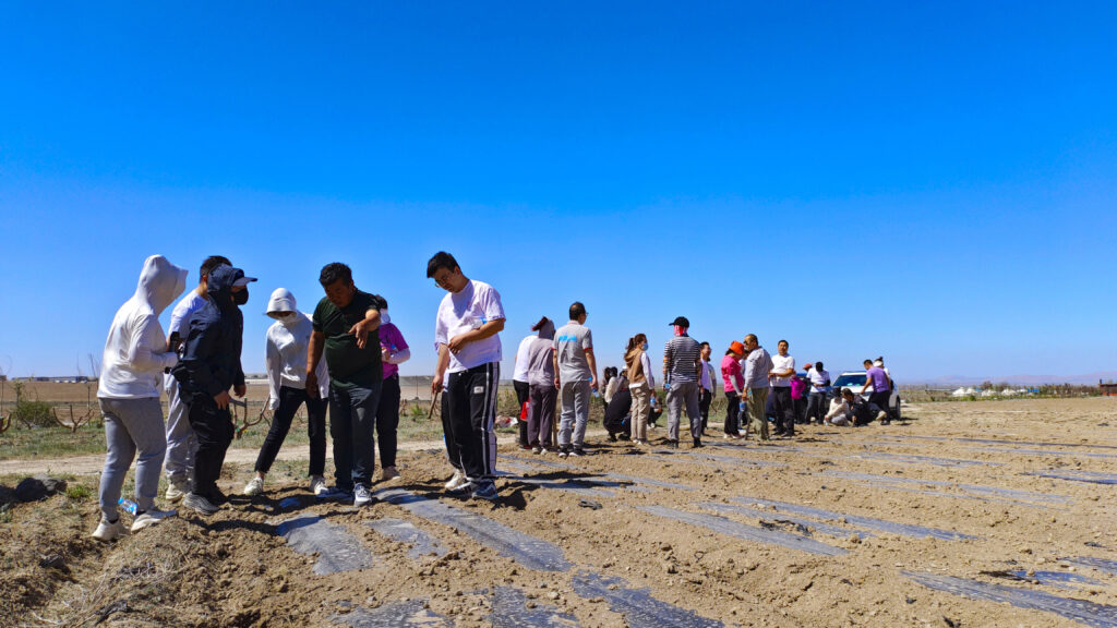 走进田园 播种希望|新宝GG物流春种团建活动