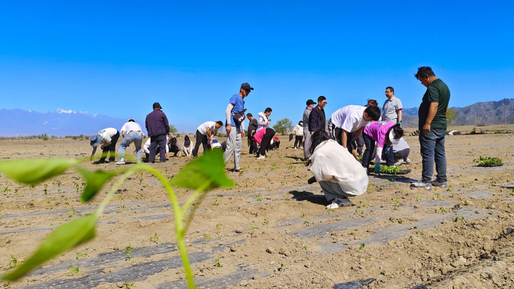 走进田园 播种希望|新宝GG物流春种团建活动