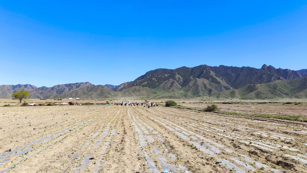 走进田园 播种希望|新宝GG物流春种团建活动